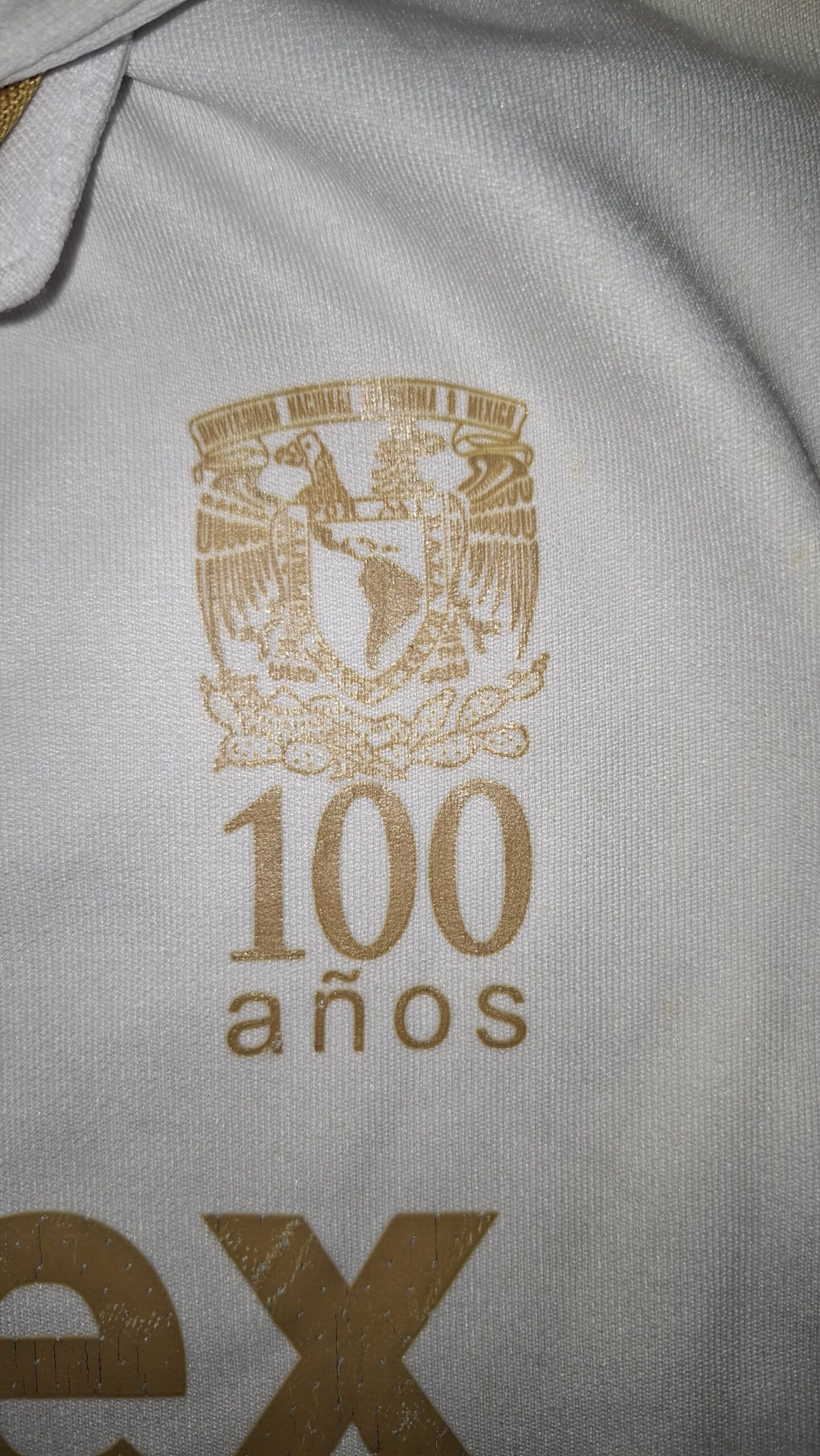 Pumas 09/10 Away Kit (L) - Image 3